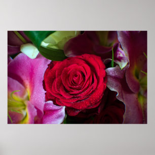 POSTER ROSE ROUGE