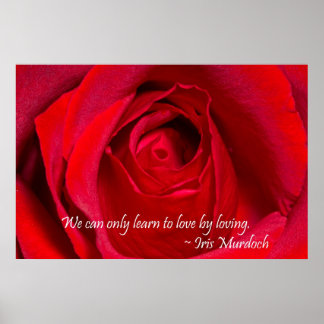 Poster Rose rouge