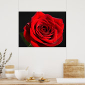 Poster Rose rouge (Cuisine)