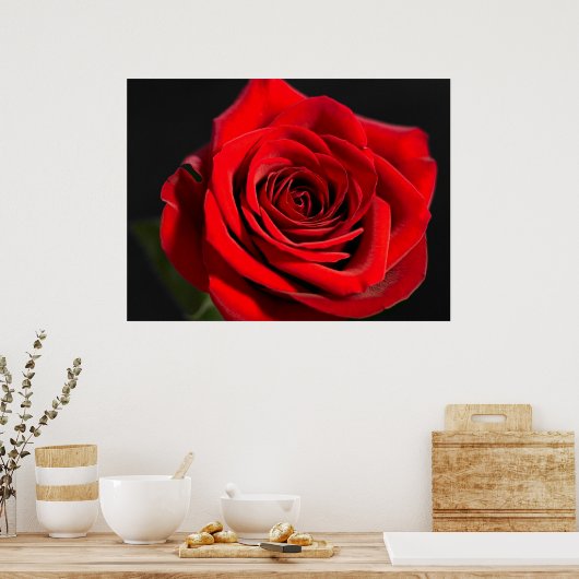Poster Rose rouge (Cuisine)