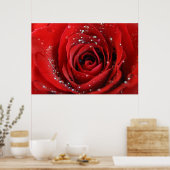 Poster Rose rouge (Cuisine)