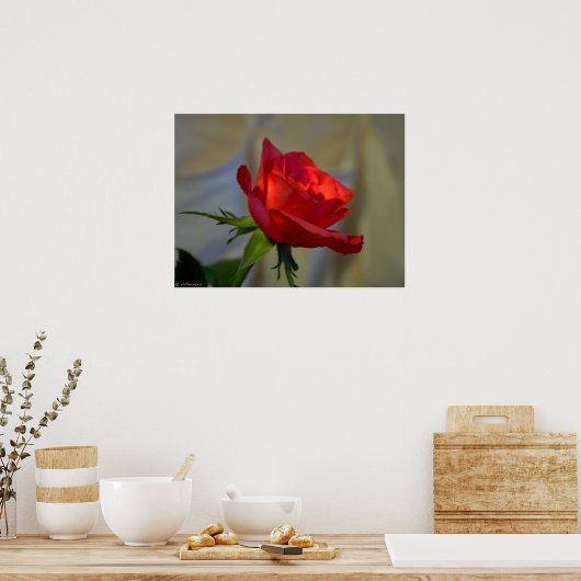 Poster Rose rouge (Cuisine)