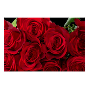 Poster Rose rouge