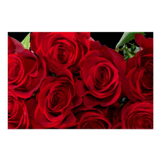 Poster Rose rouge (Devant)