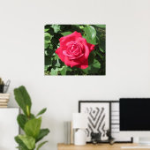 Poster Rose rouge (Bureau à domicile)