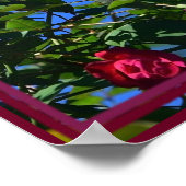 Poster Rose rouge avec citation de Louie Armstrong (Coin)