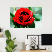 Poster Rose rouge avec gouttes de ragoût (Bureau à domicile)