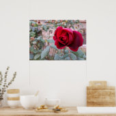 Poster Rose rouge d'automne (Cuisine)
