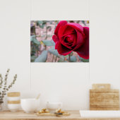 Poster Rose rouge d'automne (Cuisine)