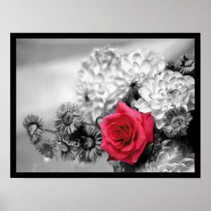 Poster Rose rouge élégant