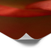 Poster rose rouge et jaune (Coin)