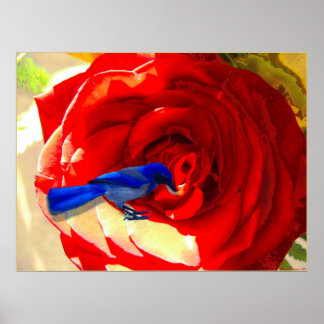 Poster Rose rouge et Oiseau bleu