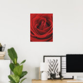 Poster Rose rouge florissante (Bureau à domicile)
