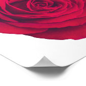 Poster Rose rouge grande face droite (Coin)