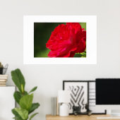 Poster Rose rouge - Imprimer (Bureau à domicile)