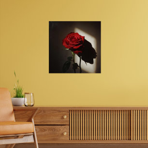 Poster Rose rouge ombragée - Dramatique Chiaroscuro Flora