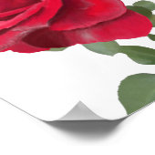 Poster Rose rouge - peinte à la main (Coin)