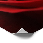 Poster Rose rouge Placide (Coin)