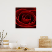Poster Rose rouge Placide (Cuisine)