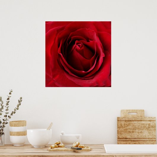 Poster rose rouge profonde (Cuisine)
