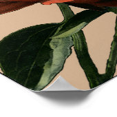 Poster Rose rouge rubis aux accents blancs (Coin)