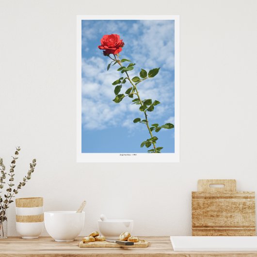 Poster Rose rouge simple (Cuisine)