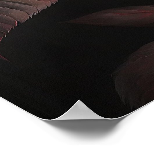 Poster Rose rouge sur un arrière - plan sombre (Coin)