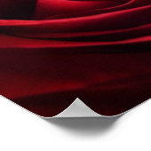 Poster Rose rouge Valentine (Coin)