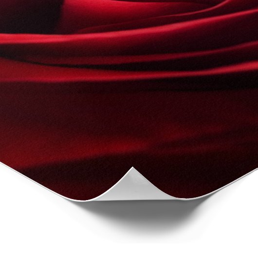 Poster Rose rouge Valentine (Coin)