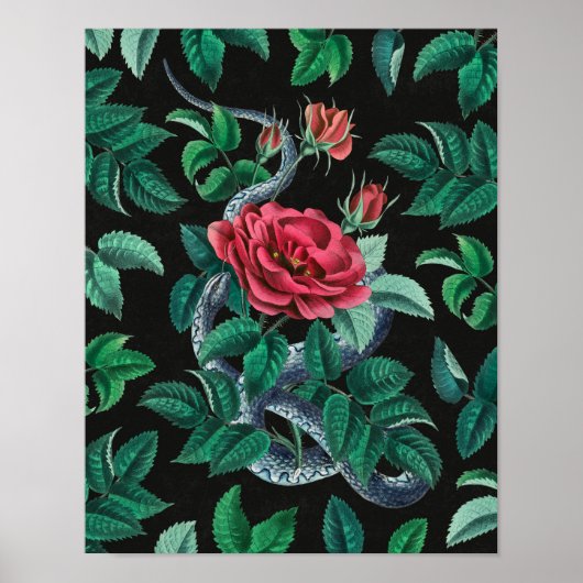 Poster Rose rouge vintage et serpent (Devant)
