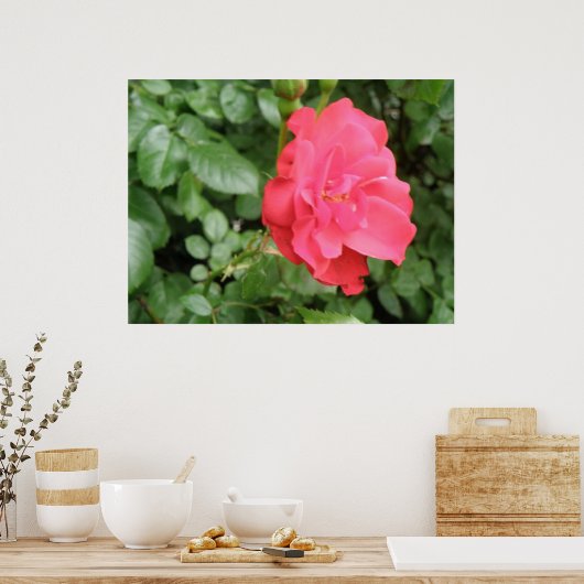 Poster Rose sauvage (Cuisine)