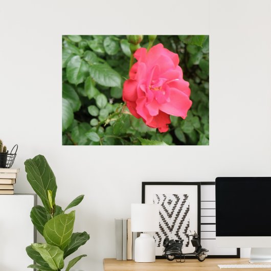 Poster Rose sauvage (Bureau à domicile)