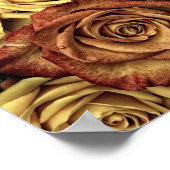 Poster Rose sepiqué (Coin)
