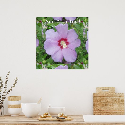 Poster Rose Sharon Purple Red (Cuisine)