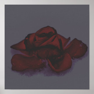 Poster Rose sombre