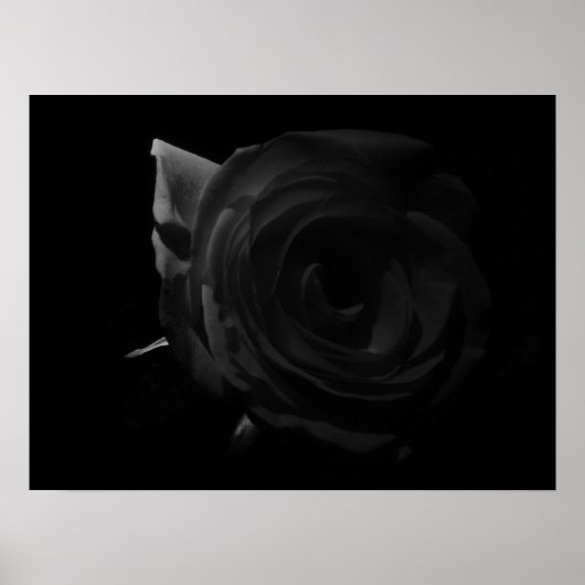 Poster Rose sombre (Devant)
