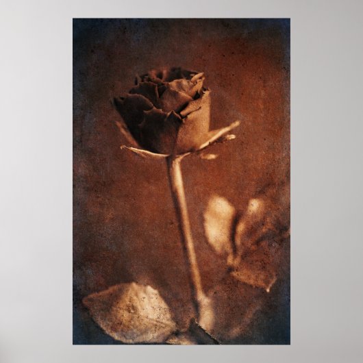 Poster Rose Steampunk (Devant)