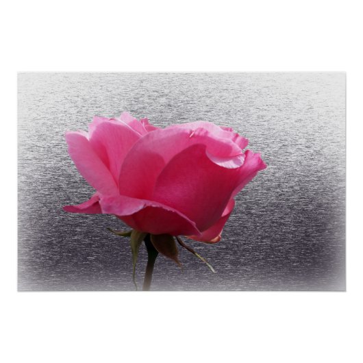 Poster rose sur gris (Devant)