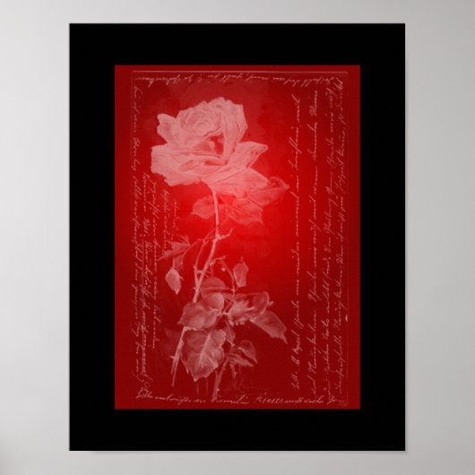 Poster Rose sur l'affiche rouge (Devant)