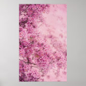 Poster Rose sur rose (Devant)