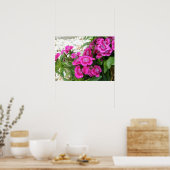 Poster rose Sweet William/Dianthus (Cuisine)