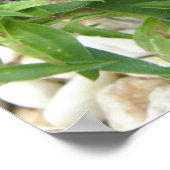 Poster rose Sweet William/Dianthus (Coin)