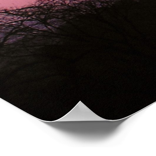 Poster Rose Sweetness (Coin)