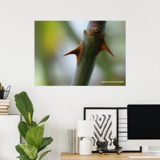 Poster Rose Thorns (Bureau à domicile)