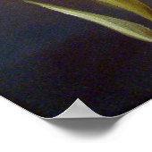 Poster Rose Tropicana (Coin)