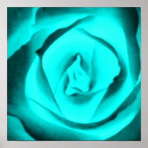 Poster Rose turquoise