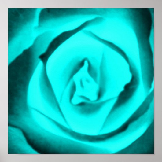 Poster Rose turquoise (Devant)