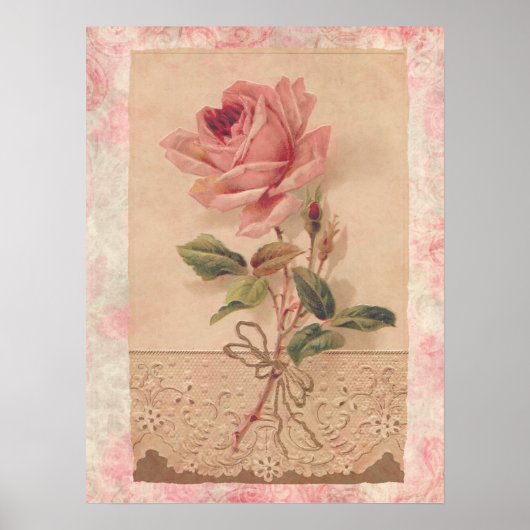 Poster Rose Victorian (Devant)