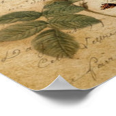 Poster Rose victorien Paris Scripts oiseau français botan (Coin)