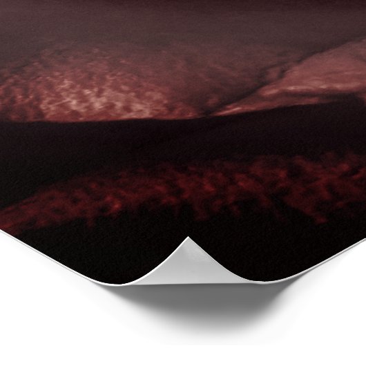 Poster Rose vintage (Coin)